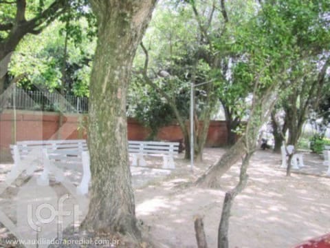 Image 16 - 273397